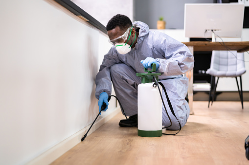 Pest Control Exterminator Man Spraying Termite Pesticide In Office