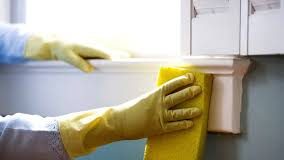 Mold Experts in the Bothell Area: Your Local Heroes Mold Experts