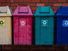 Streamlining Waste Management with Dumpster Rental Services Dumpster Rental Services