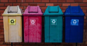 Streamlining Waste Management with Dumpster Rental Services Dumpster Rental Services