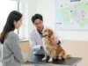 How Animal Hospitals Address Behavioral Health Issues Animal Hospitals